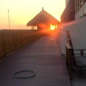 Meet your Posher, Carole